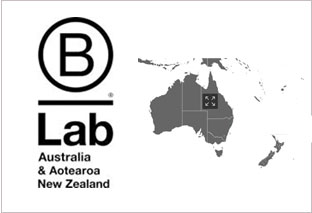 Evaluation work for B Lab AA & Z (2024)